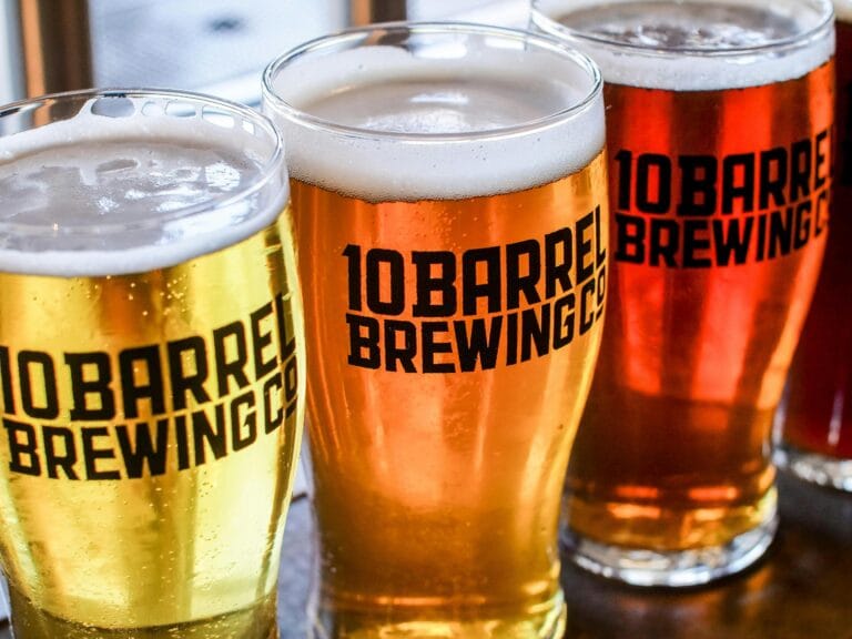 Close-up view of assorted 10 Barrel Brewing Co beers in glasses showcasing vibrant colors and refreshing foam.